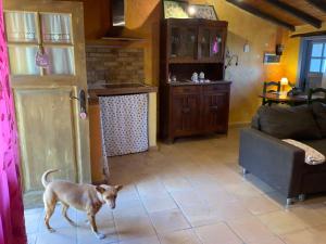 Casas ALBERTO TELEWORKING