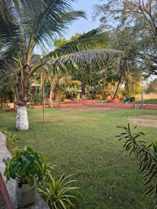 Saiesh resort