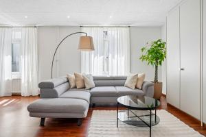 Spacious Apartment in Central Luzern
