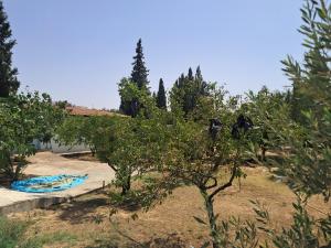 Domaine salma