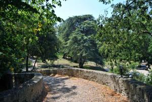 Hotels Logis Hotel Chateau De Palaja : photos des chambres
