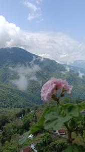 JOSEPH Homestay