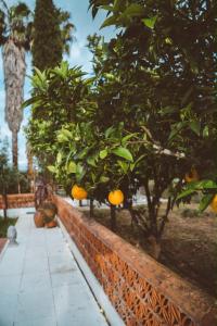 Quinta de Margoa
