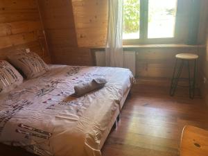 Appartement entre lac et montagne
