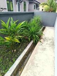 Mayang Homestay Bukit Payong, Terengganu