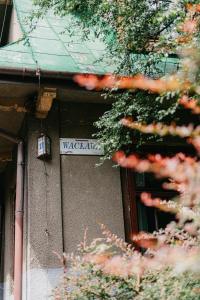 Willa Wacława
