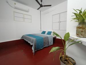 AURORA HOME STAY Athirappilly