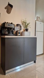 Nomad co living Space