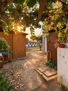 Montijo Garden - Glamping 25min de Lisboa