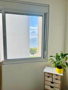 Executive Apartment north seafront center of the island