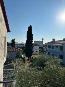 Olive Garden relax 150m to beach seaview