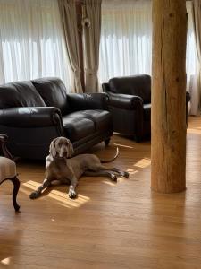 Villa Doe