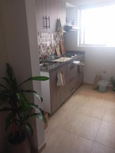 Apartamento Circasia
