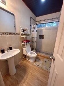 Urban Loft Nueva California