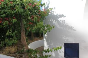 Casa da Buganvília