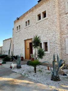 Tassourt Lodge