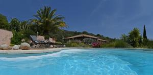 B&B / Chambres d'hotes Villa Vetricella Corse Sud : photos des chambres