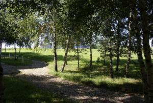 300 m Private Villa near Vilnius