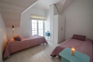 300 m Private Villa near Vilnius