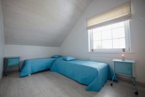300 m Private Villa near Vilnius