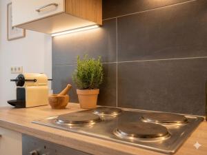 1BR, central, Prater, Schwedenplatz