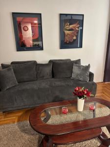 Two-bedroom apartment in the Duvaniste neighborhood, Niš