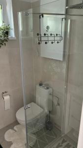 Apartament w Sosnowym Lesie