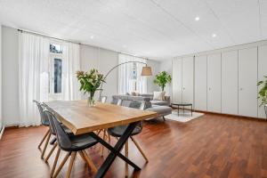 Spacious Apartment in Central Luzern