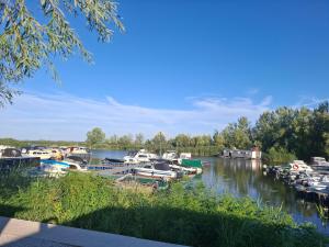 Cuki Apartmanház