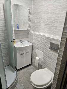 Vitolu apartment