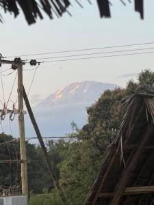 Moshi Lodge Hostel