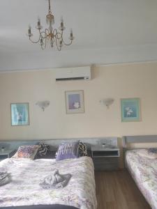 Rákóczi Guesthouse Miskolc