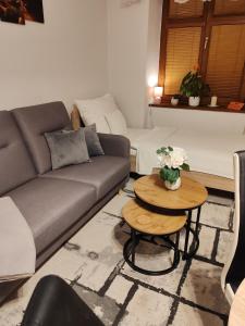 Apartmán Nerudova