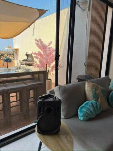 Casa Brisa Marina Alberca Jacuzzi y palapa Frente al Mar