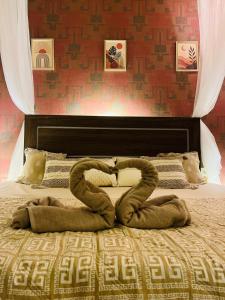 Luna Studio Cozy Boho Retreat with Canopy Bed