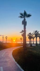 LA BAIA DI NETTUNO Il Gatto e La Volpe
