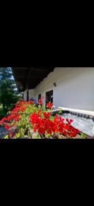 Holiday Home Lana