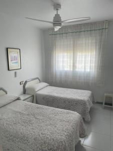 Apartamento en Arcos de Font Nova (4-6)