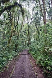 Moshi Lodge Hostel