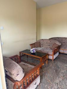 Anthurium Villa