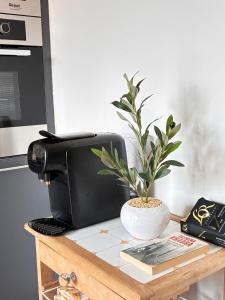 Modern, cozy, and bright apartment
