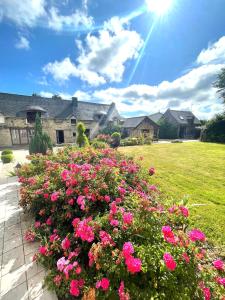 Domaine La Ville Suzanne - Gîtes