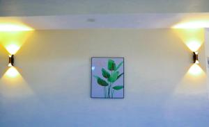 Dobajo Homes2
