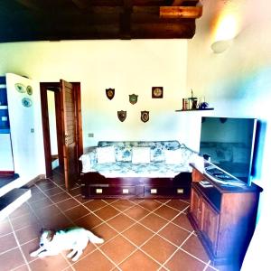 La casita del mar