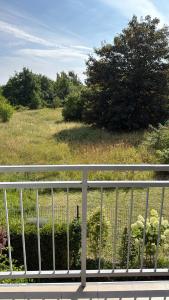 Apartment Magnolia Szczecin