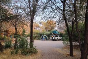 Boteti River Camp - Camp Sites