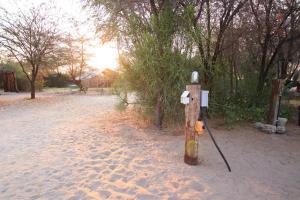 Boteti River Camp - Camp Sites