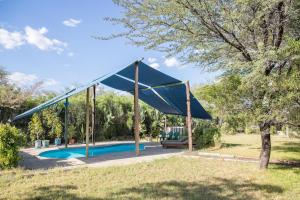 Boteti River Camp - Camp Sites