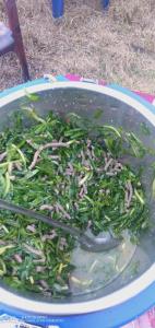 Himalayan Homestay