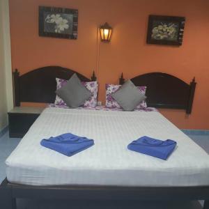 Seaworld Guesthouse